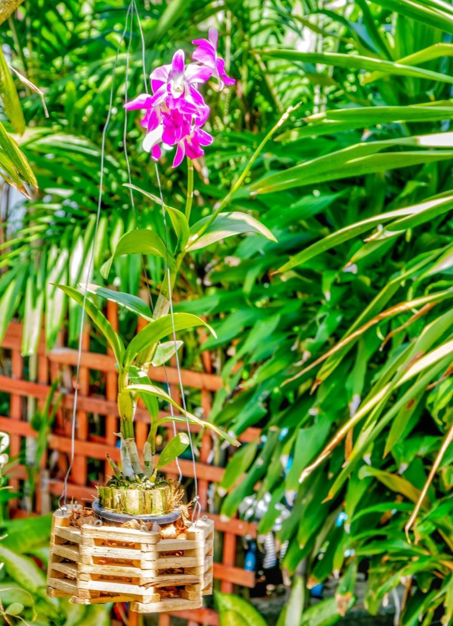 Kata Leaf Resort Phuket - Exteriör bild